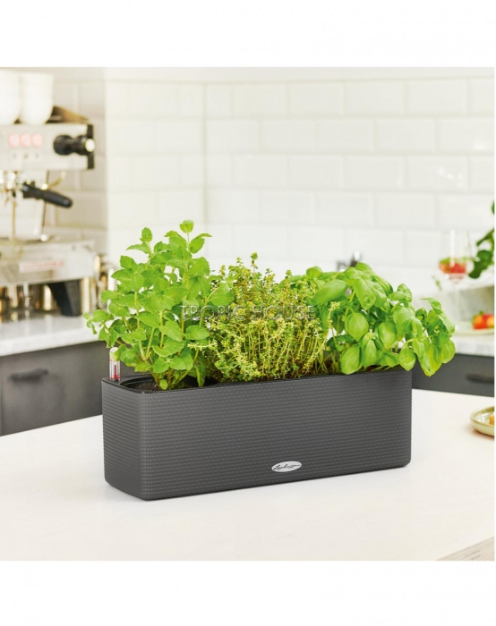 Кашпо LECHUZA CUBE Color Triple 14х14 см