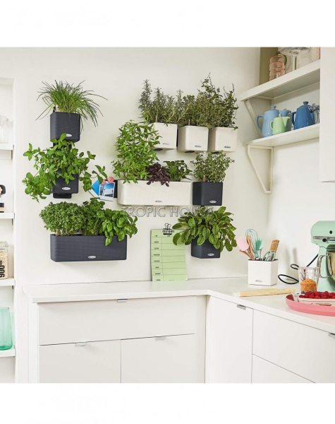 Кашпо LECHUZA ЗЕЛЕНАЯ СТЕНА Home Kit Color 15х14 см