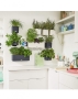 Кашпо LECHUZA ЗЕЛЕНАЯ СТЕНА Home Kit Color 15х14 см