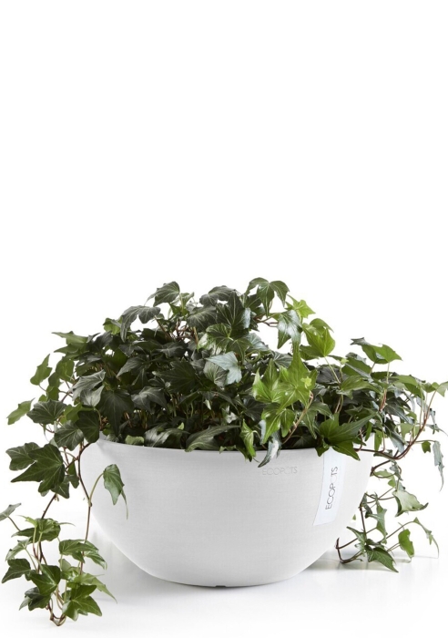 Ecopots Brussels 25