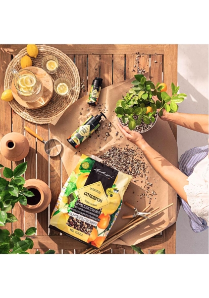 Субстрат Lechuza CITRUSPON