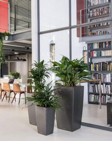 Кашпо LECHUZA CUBICO 30х56 см