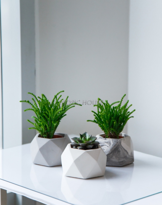 Кашпо бетонное настольное ТН 07