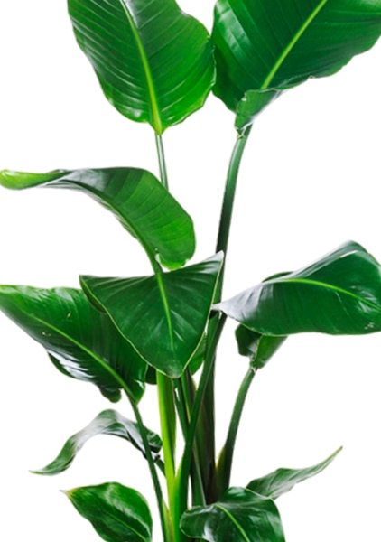 Стрелиция Николай 19/90 в CUBE 30