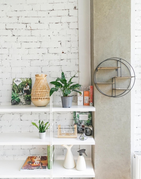 Аглаонема Мария 12/30 см в LAMELA MAGNOLIA fi 135