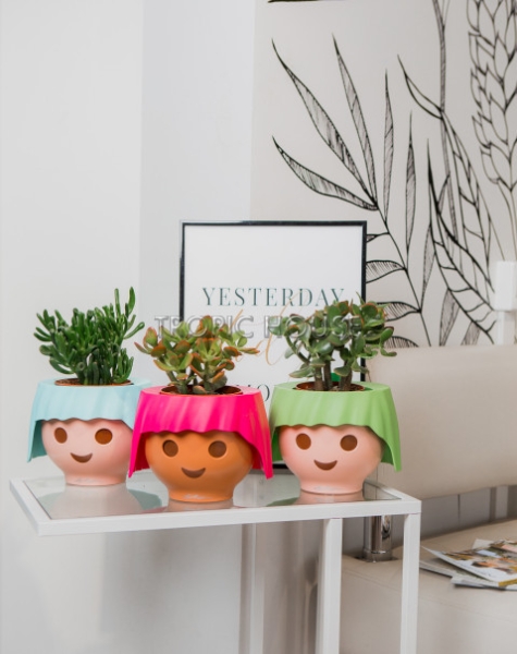 Набор "Денежные деревья" в OJO 25 см