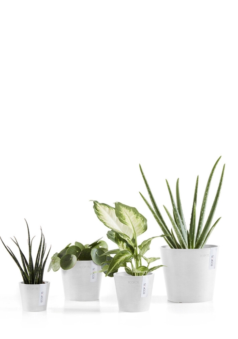 Ecopots Amsterdam Mini 13