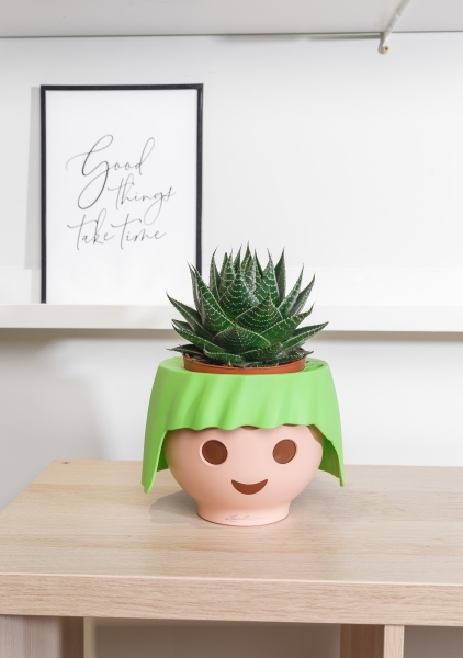 Алоэ Космо в OJO 25 см