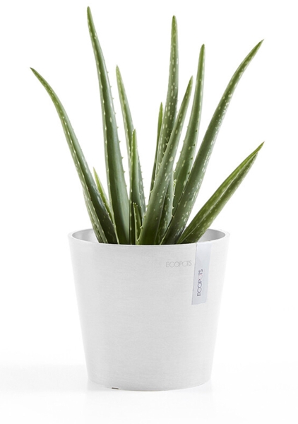 Ecopots Amsterdam Mini 17