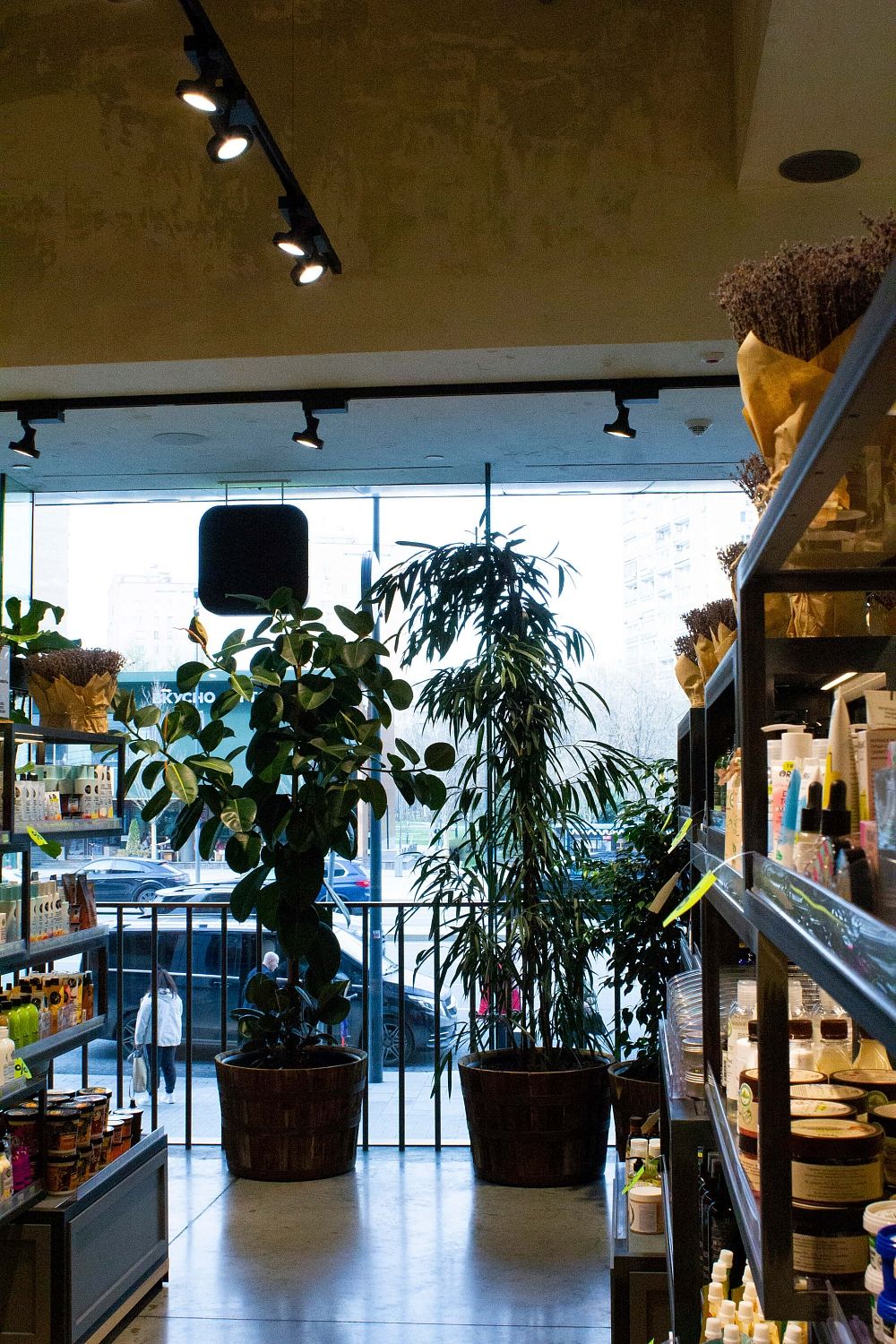 Золотое Яблоко