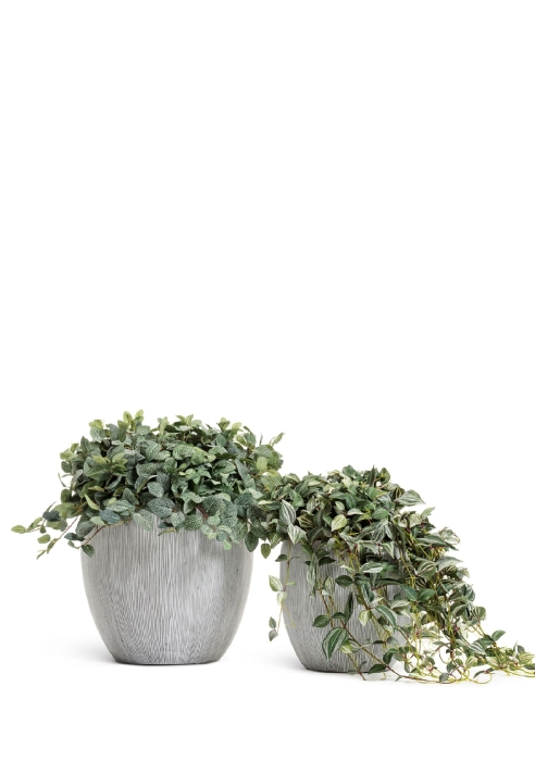 Кашпо TREEZ Effectory, Конус-Чаша, Слоновая кость