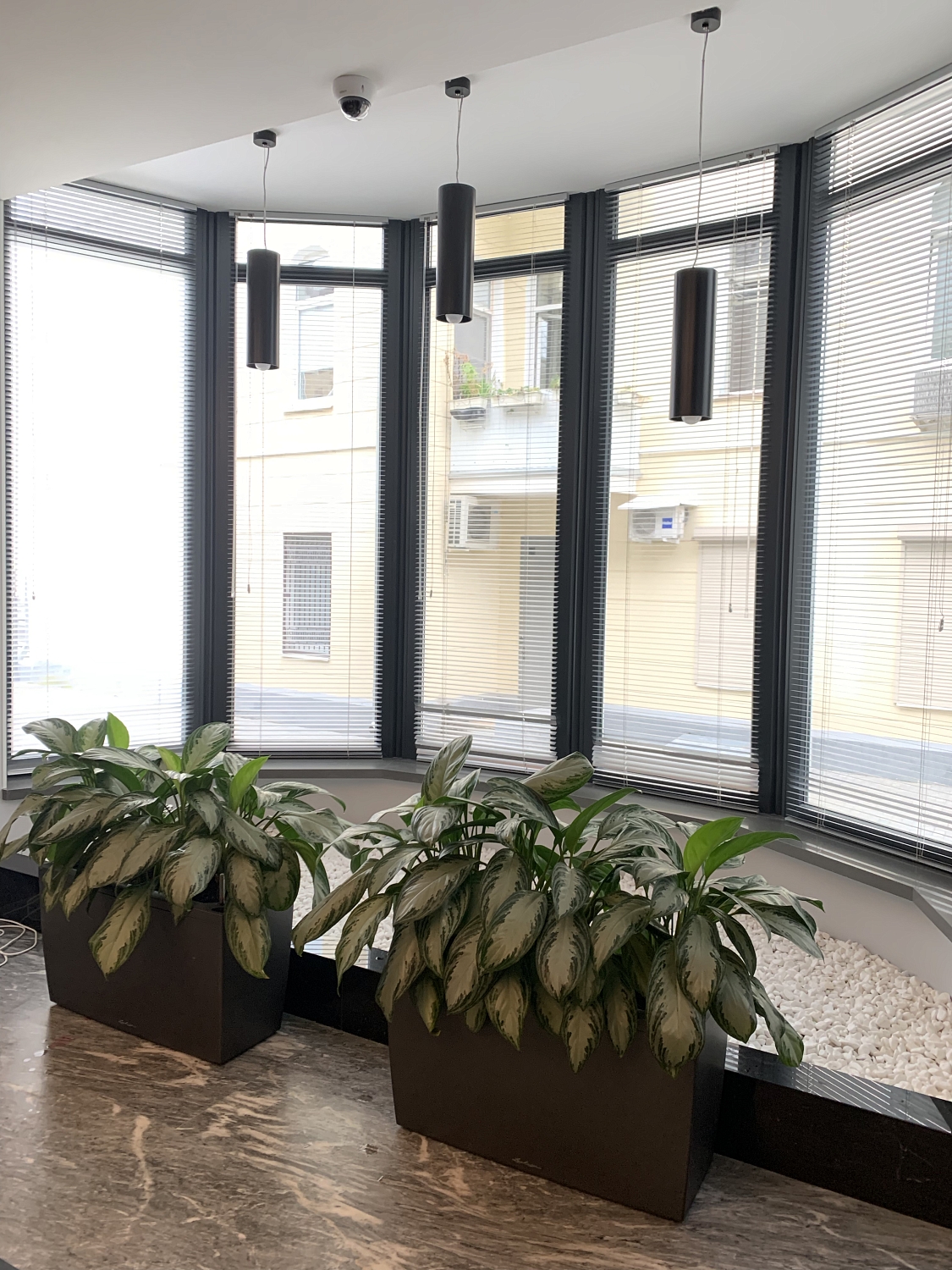 СЕРВИСНЫЙ УХОД ЗА РАСТЕНИЯМИ СЕРВИСНЫЙ УХОД ЗА РАСТЕНИЯМИ