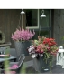 Кашпо подвесное LECHUZA NIDO Cottage 27х23 см