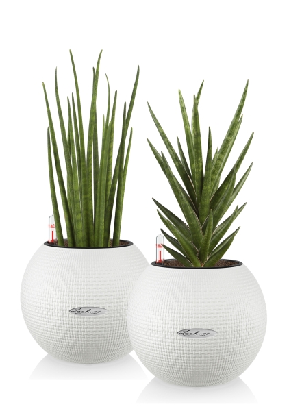 "Набор для рабочего стола" Цилиндрика в PURO 20