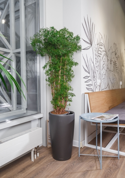 Полисциас в RONDO 32 Полисциас в RONDO 32