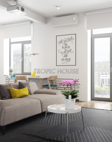 Орхидея Карола в ORCHIDEA 18 Орхидея Карола в ORCHIDEA 18