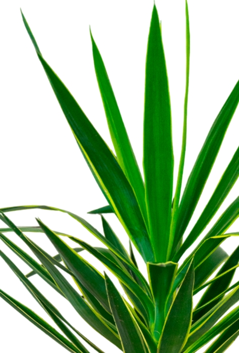 Юкка Пак в CUBICO 30