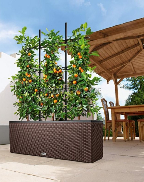 Кашпо LECHUZA TRIO Cottage 30х34 см