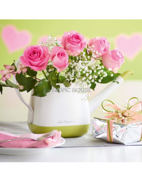 Лейка LECHUZA YULA