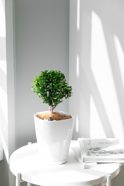 Мирсина в MINI-DELTINI 10 Мирсина в MINI-DELTINI 10