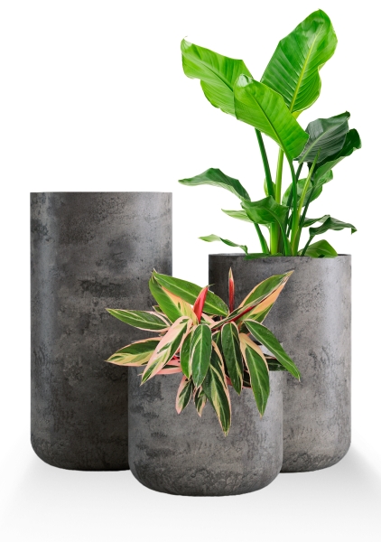 Кашпо CONCRETIKA TOPPER CONCRETE GREY DARK