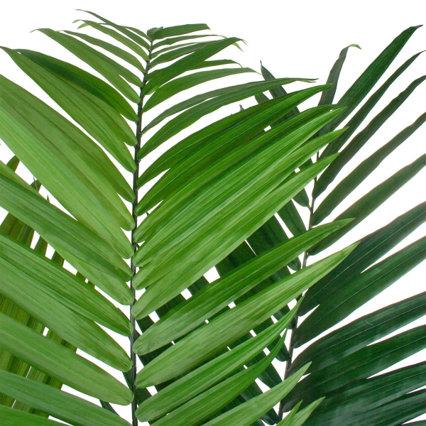 Дерево искусственное в кашпо "Пальма Кентия (Ховея)", Н210 см, 216 листьев