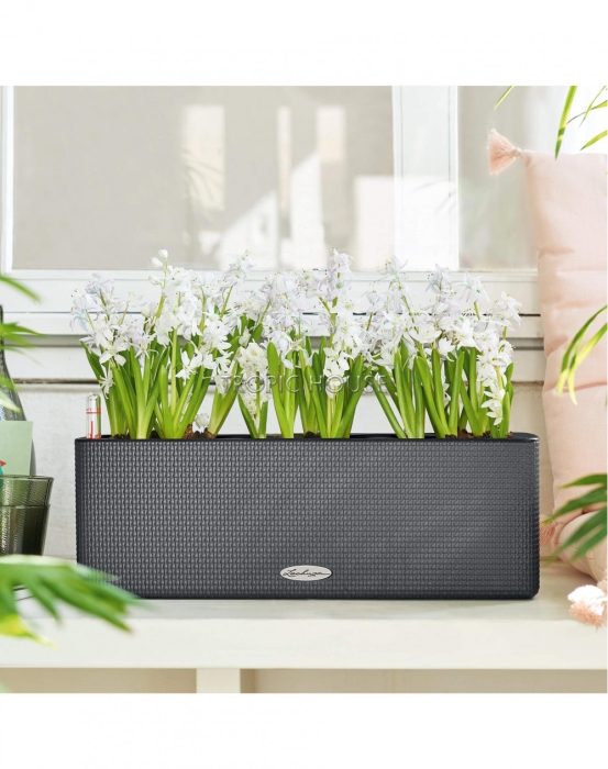 Кашпо LECHUZA CUBE Color Triple 14х14 см