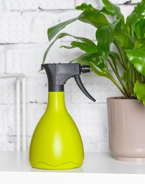 Опрыскиватель для комнатных цветов Medusa (светло-зеленый)