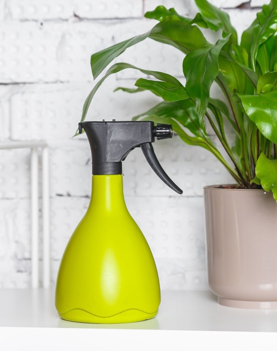 Опрыскиватель для комнатных цветов Medusa (светло-зеленый)