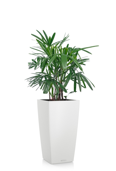 Рапис 21/90 см в CUBICO COLOR 30, белый