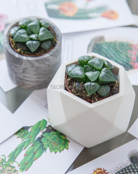 Кашпо бетонное настольное ТН 07