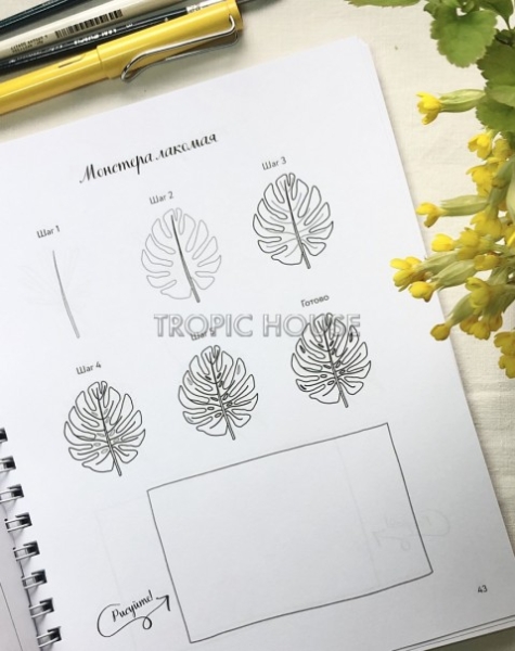 Цветы и листья по линиям Цветы и листья по линиям