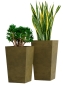 Кашпо CONCRETIKA CONIC AVOCADO GREEN