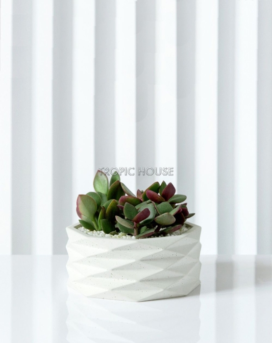 Кашпо Andromeda