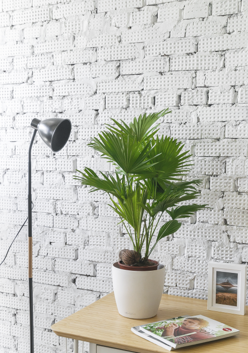 Торшер для фитолампы напольный черный