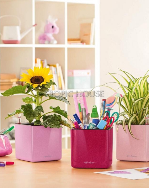 Кашпо LECHUZA CUBE Glossy Kiss 14х13.5 см