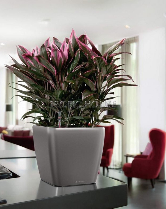 Кашпо LECHUZA QUADRO LS 28х26 см