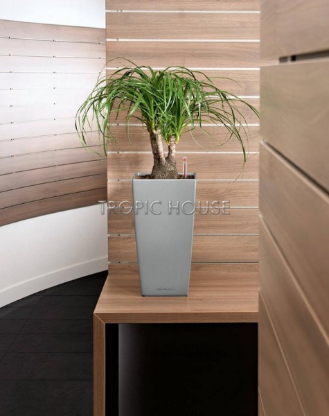 Кашпо LECHUZA CUBICO 22х41 см