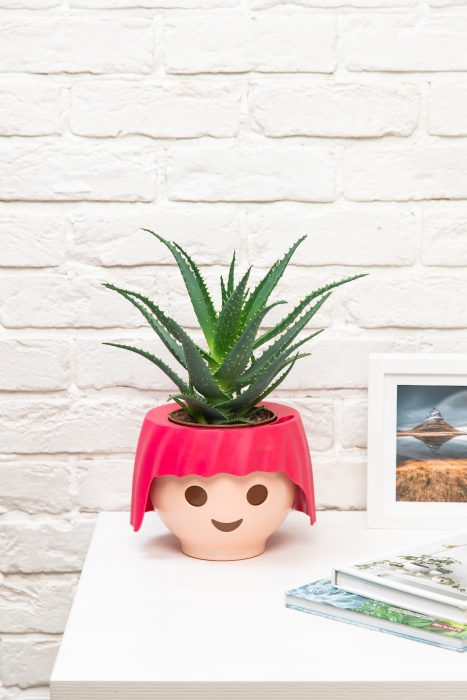 Алоэ 12/30 см в OJO