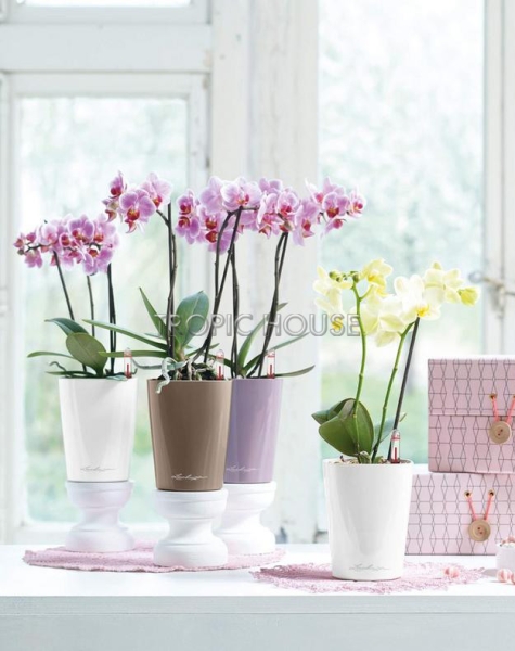 Кашпо LECHUZA DELTINI 14х18 см