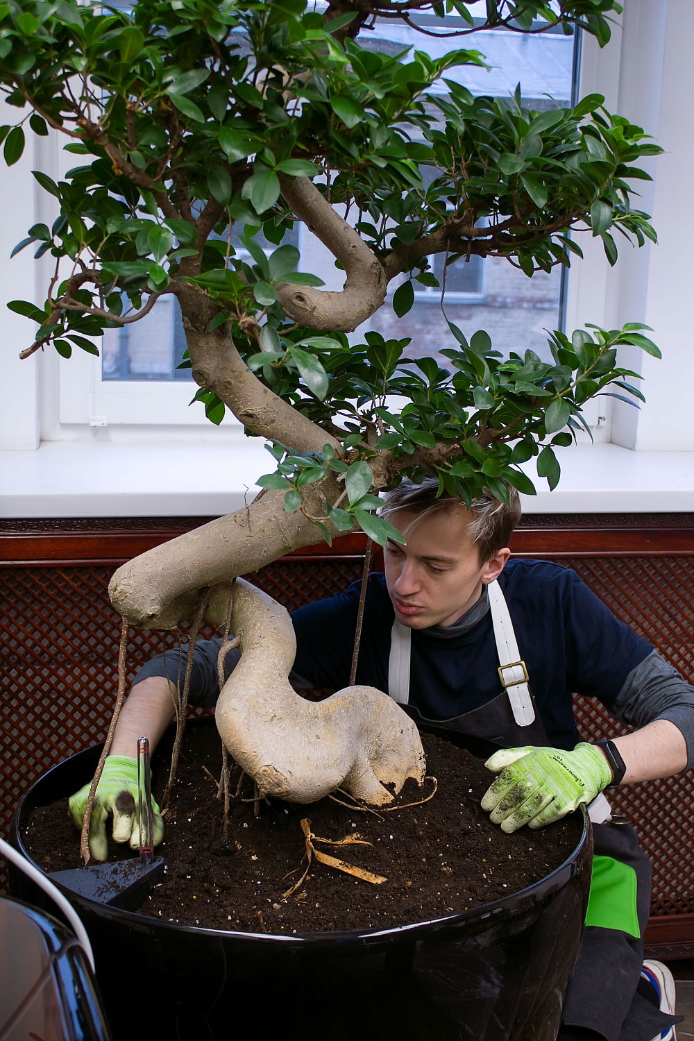 ВЫЕЗДНАЯ ПЕРЕСАДКА РАСТЕНИЙ