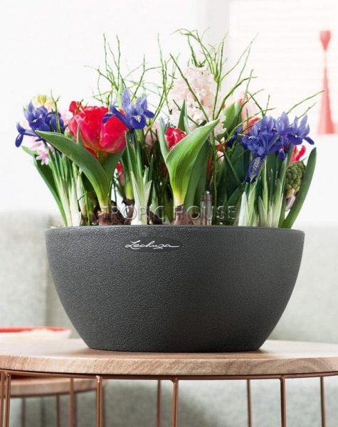 Кашпо LECHUZA CUBETO Stone 30х13 см