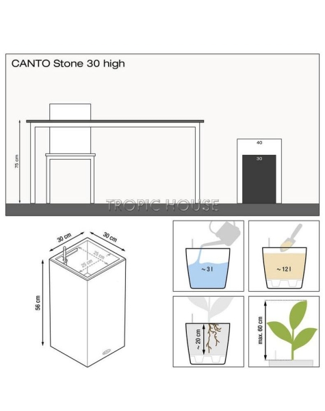 Стрелиция Николай в CANTO STONE HIGH 30 Стрелиция Николай в CANTO STONE HIGH 30