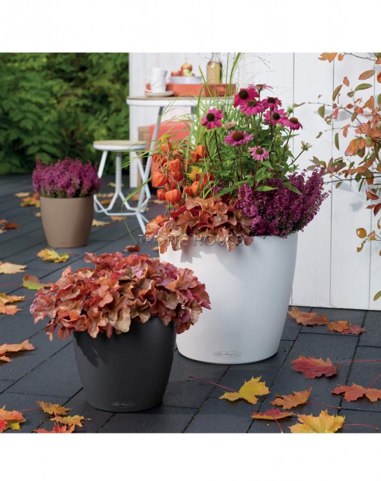 Кашпо LECHUZA CLASSICO Color 21х20 см