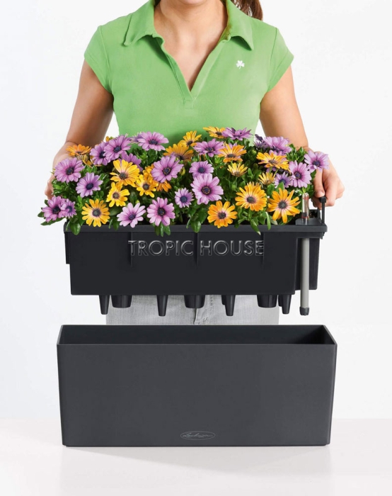 Кашпо LECHUZA BALCONERA Color 50х19 см