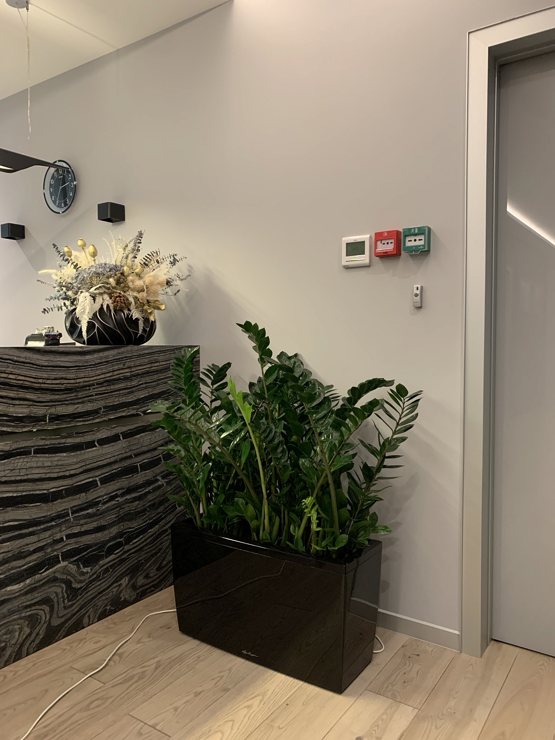 СЕРВИСНЫЙ УХОД ЗА РАСТЕНИЯМИ СЕРВИСНЫЙ УХОД ЗА РАСТЕНИЯМИ