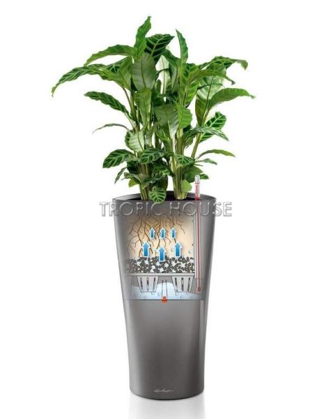 Кашпо LECHUZA DELTA 40х75 см