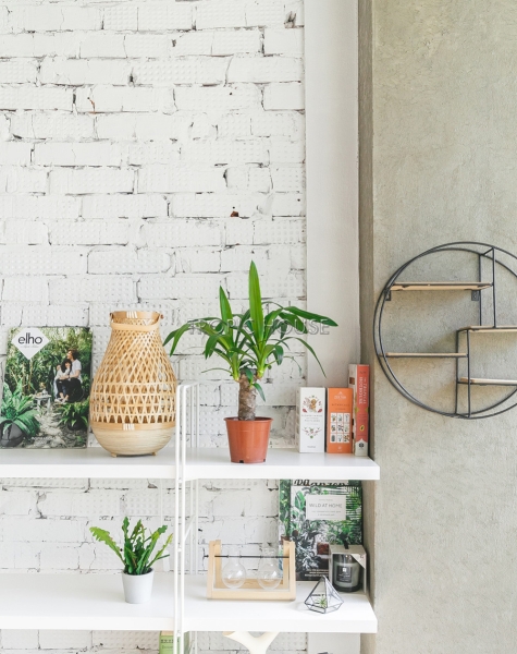 Юкка 1 ствол 12/55 см