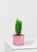 Кипарисовик микс 9 см в CUBE GLOSSY KISS 14