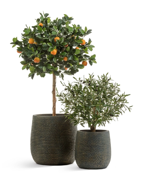 Кашпо TREEZ ERGO, Чаша, Окись с золотой патиной